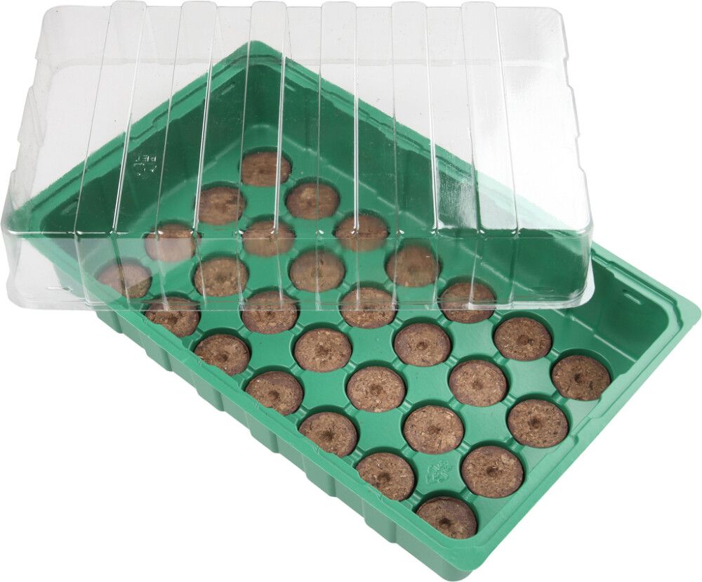 Minikasvuhoone 35,5 x 22 x 12 cm