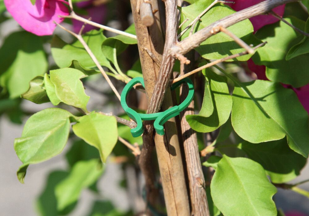 Klamber taimedele 15 tk/pk