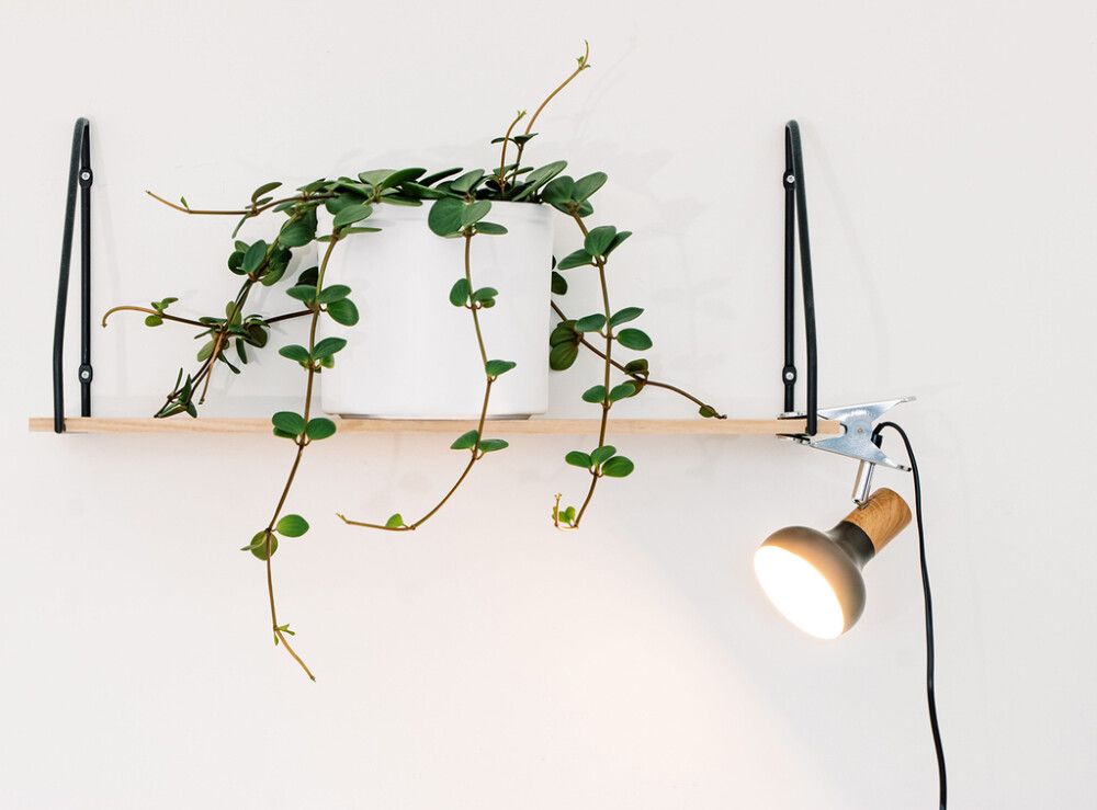 Näpitvalgusti Sessak Isa Must