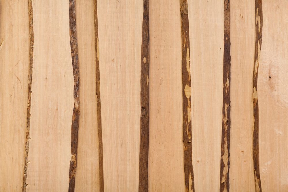 Servamata laud HS peensaetud lepp 22 x 250 mm