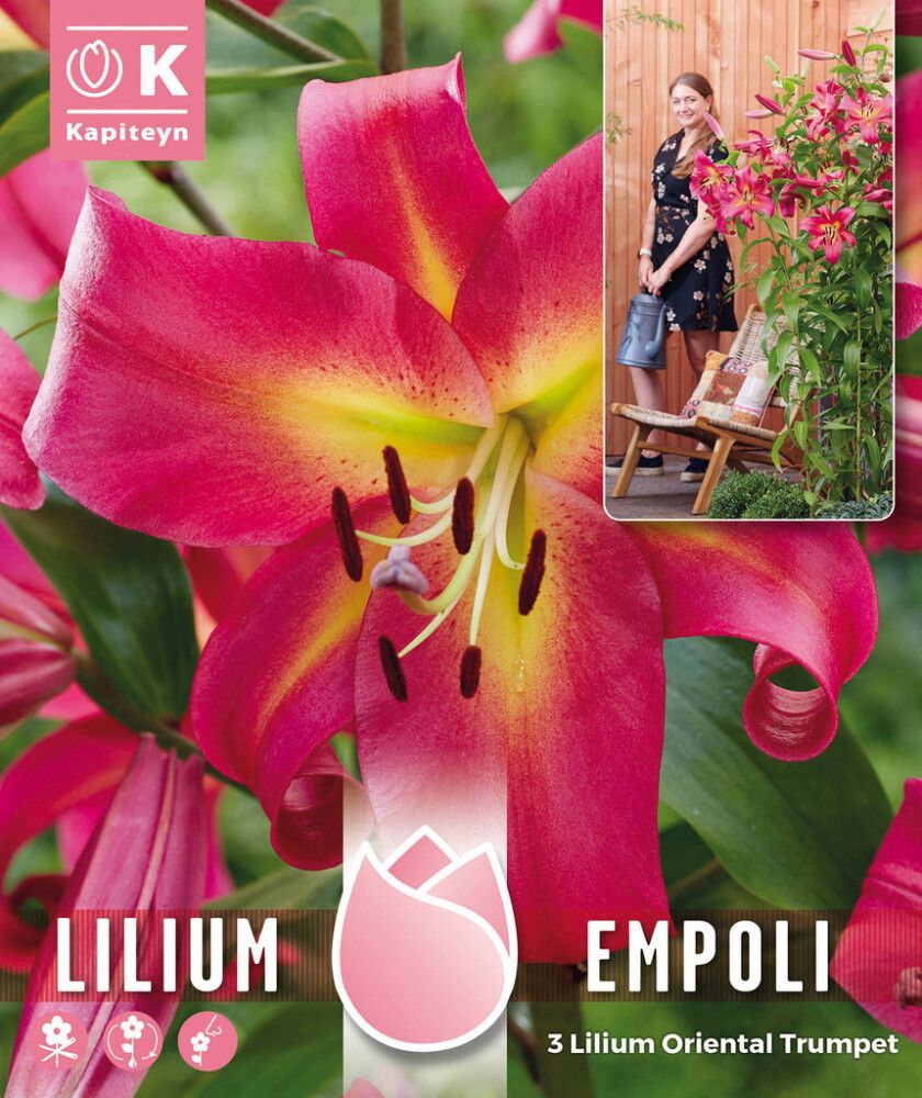 Hübriidliilia Empoli 3 tk