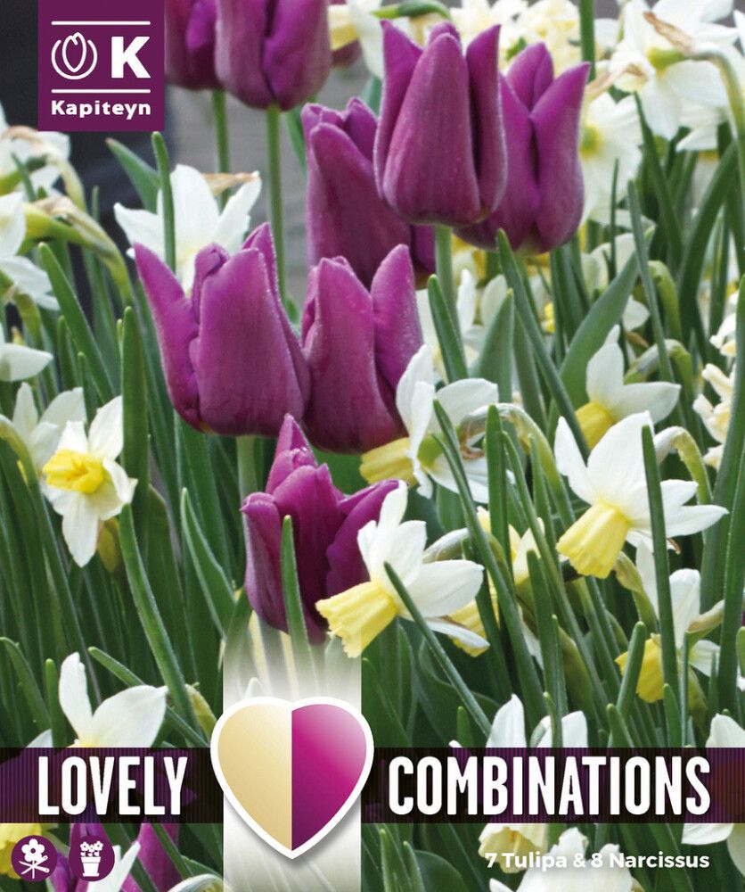Komplekt tulbid ja nartsissid 15 tk