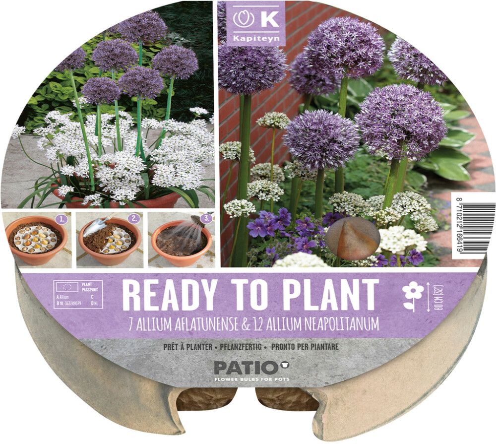 Komplekt Kapiteyn laugud 19 tk