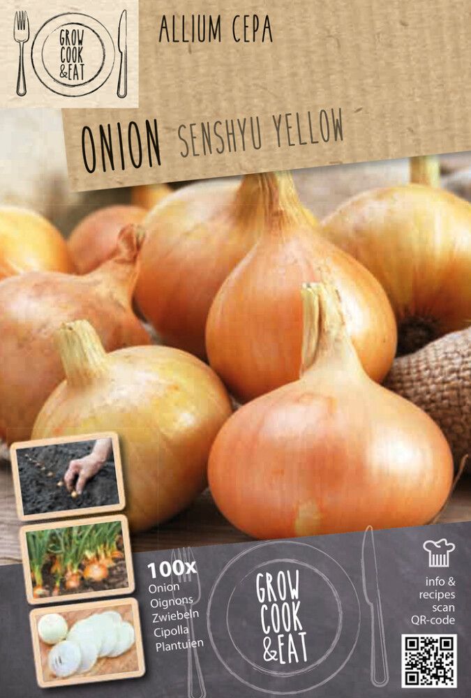 Sibul Senshyu Yellow 100 tk