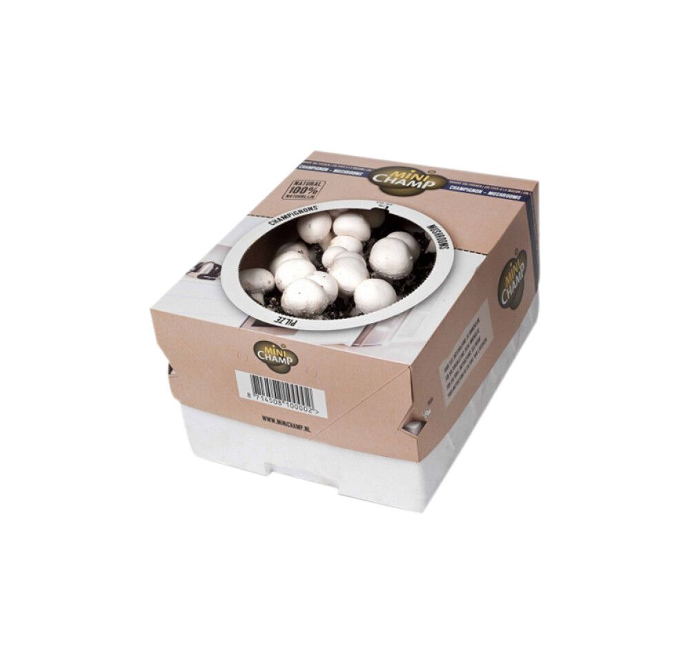 Seene kasvatuskast valge 7,5 l