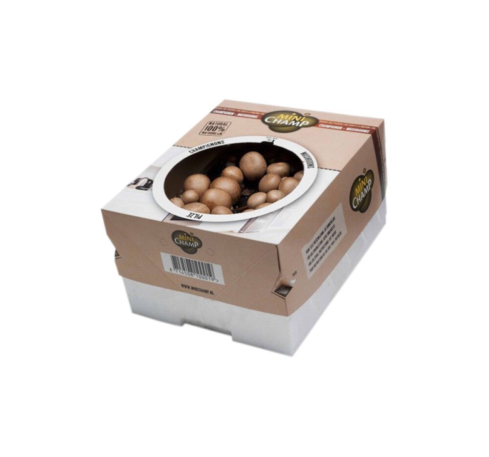 Seene kasvatuskast pruun 7,5 l