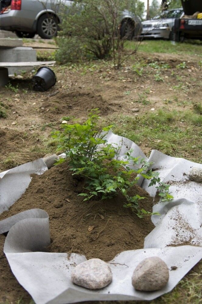 Juuretõkkekangas 6 m²