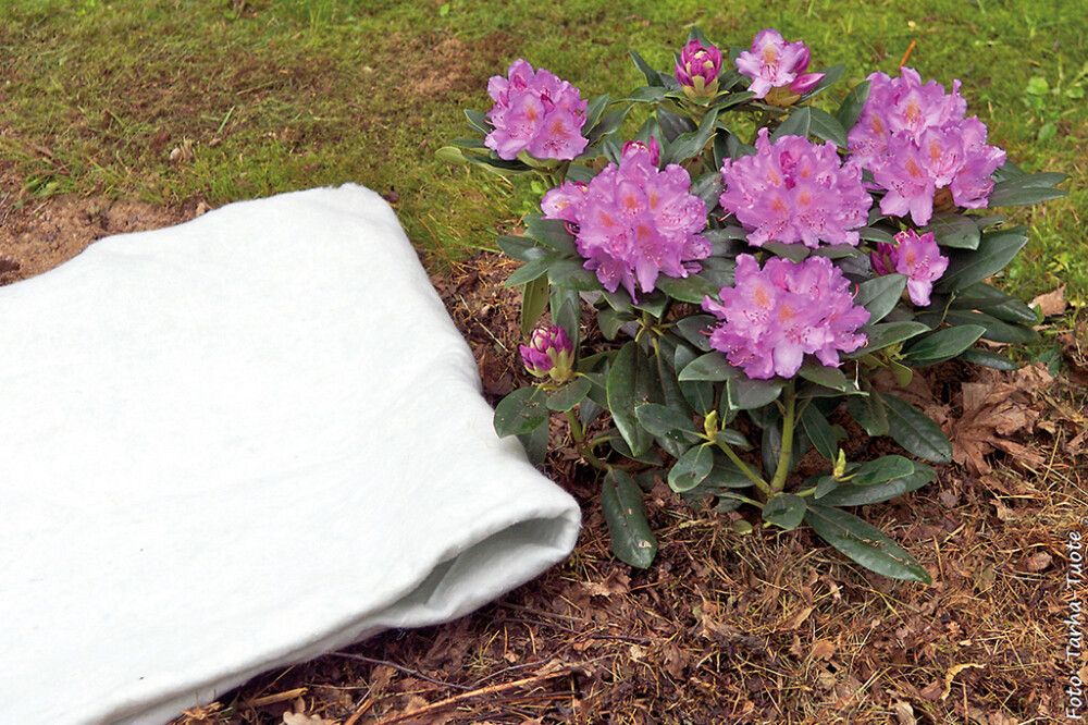 Pakasekaitsekangas Tarha 5 m²