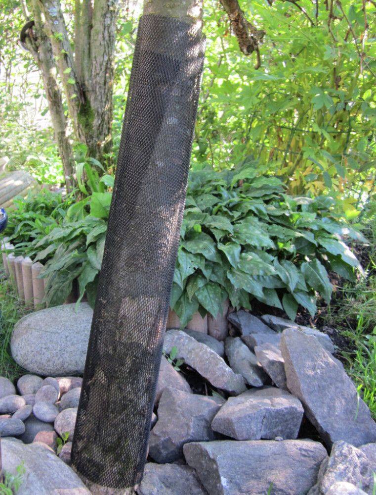 Väikepilt 3