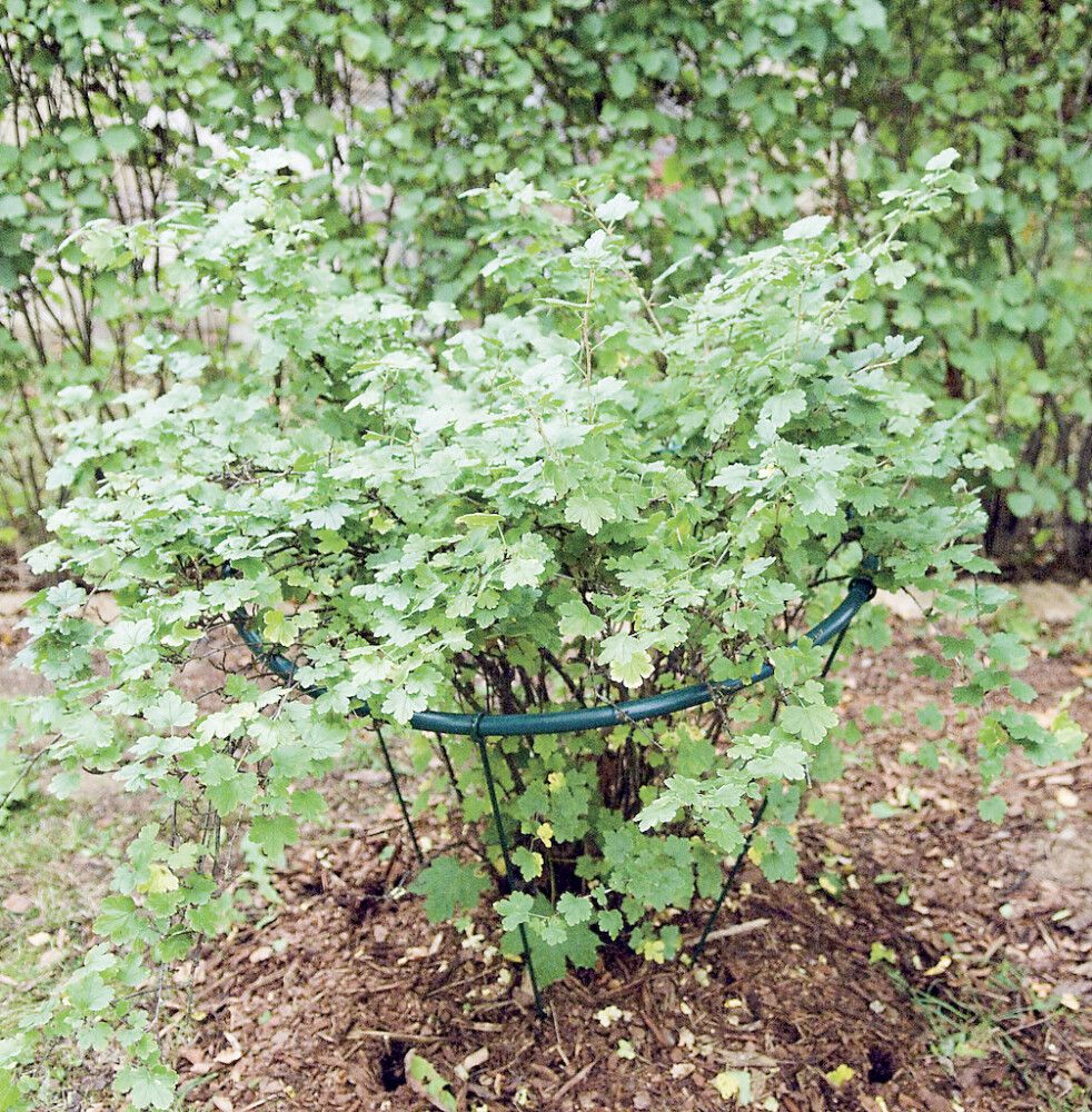 Põõsatugi ümar 90 x 90 cm