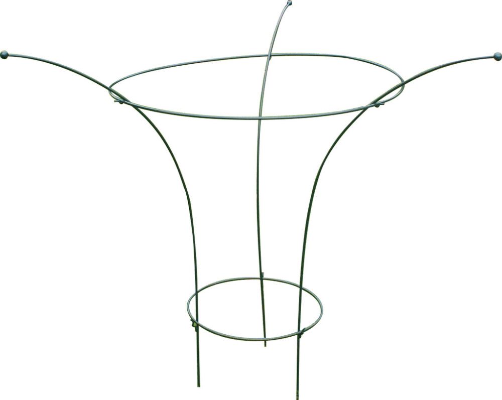 Taimetugi pojengile 90 cm