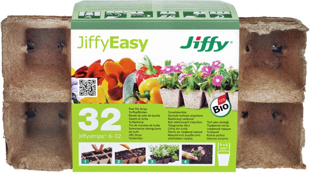 Väikepilt 2