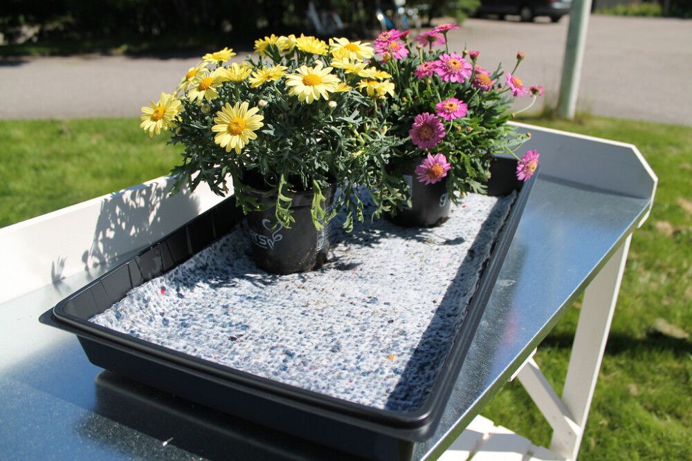 Altkastmismatt 50 x 100 cm