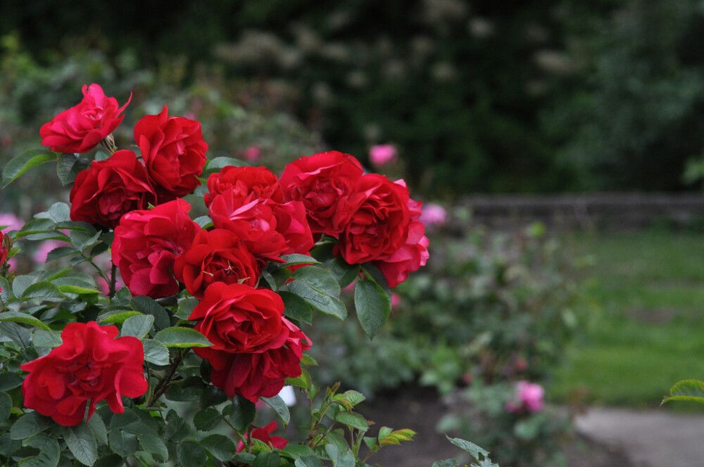 Väikepilt 3