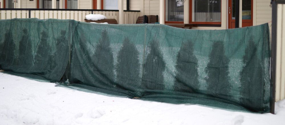 Varjutuskangas 20 m²