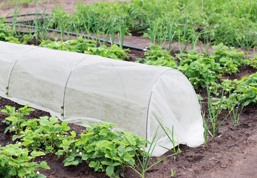 Kattekangas tugikaartele 1,8 x 5 m/17 g/m²