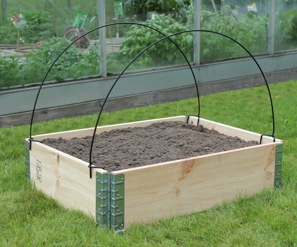 Kaartoed kattekangale 2 tk