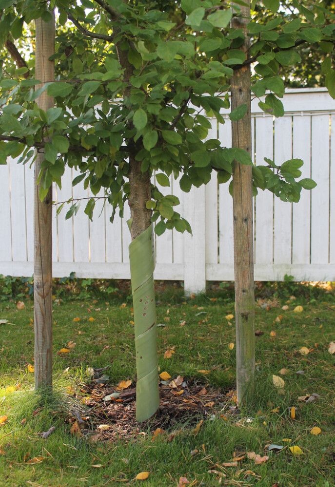 Tüvekaitse biolagunev 90 cm