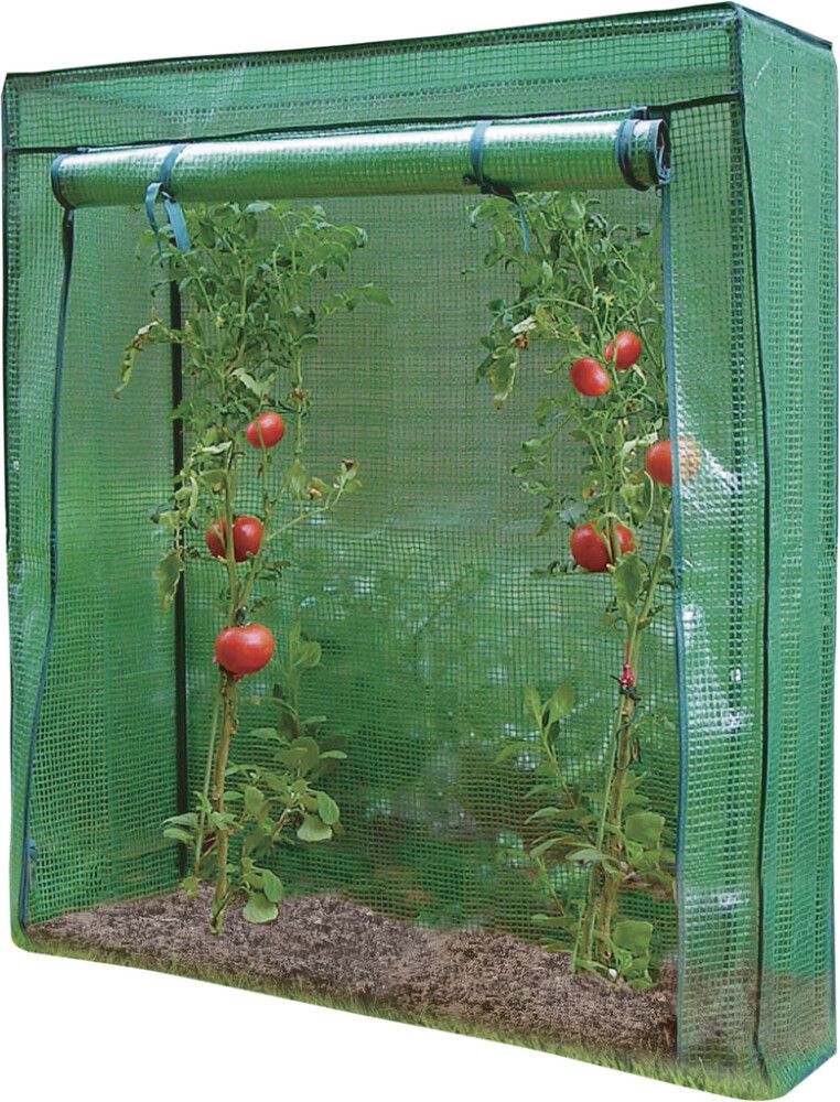Tomatikasvuhoone 100 x 50 x 150 cm