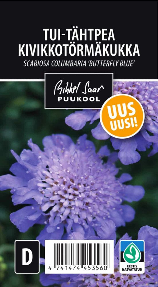 Tui-tähtpea Butterfly Blue