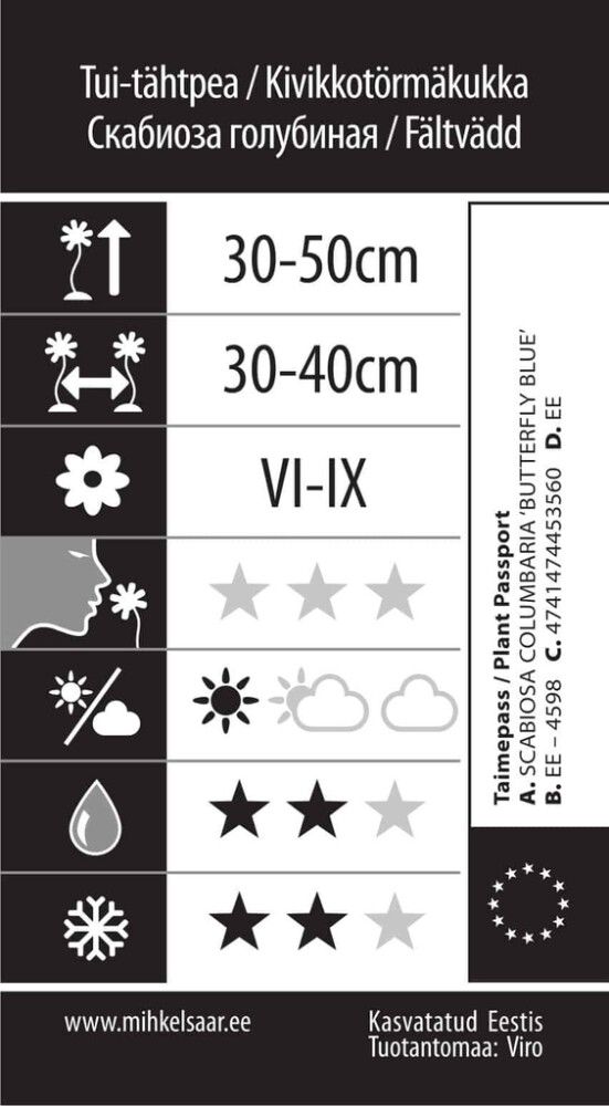 Tui-tähtpea Butterfly Blue