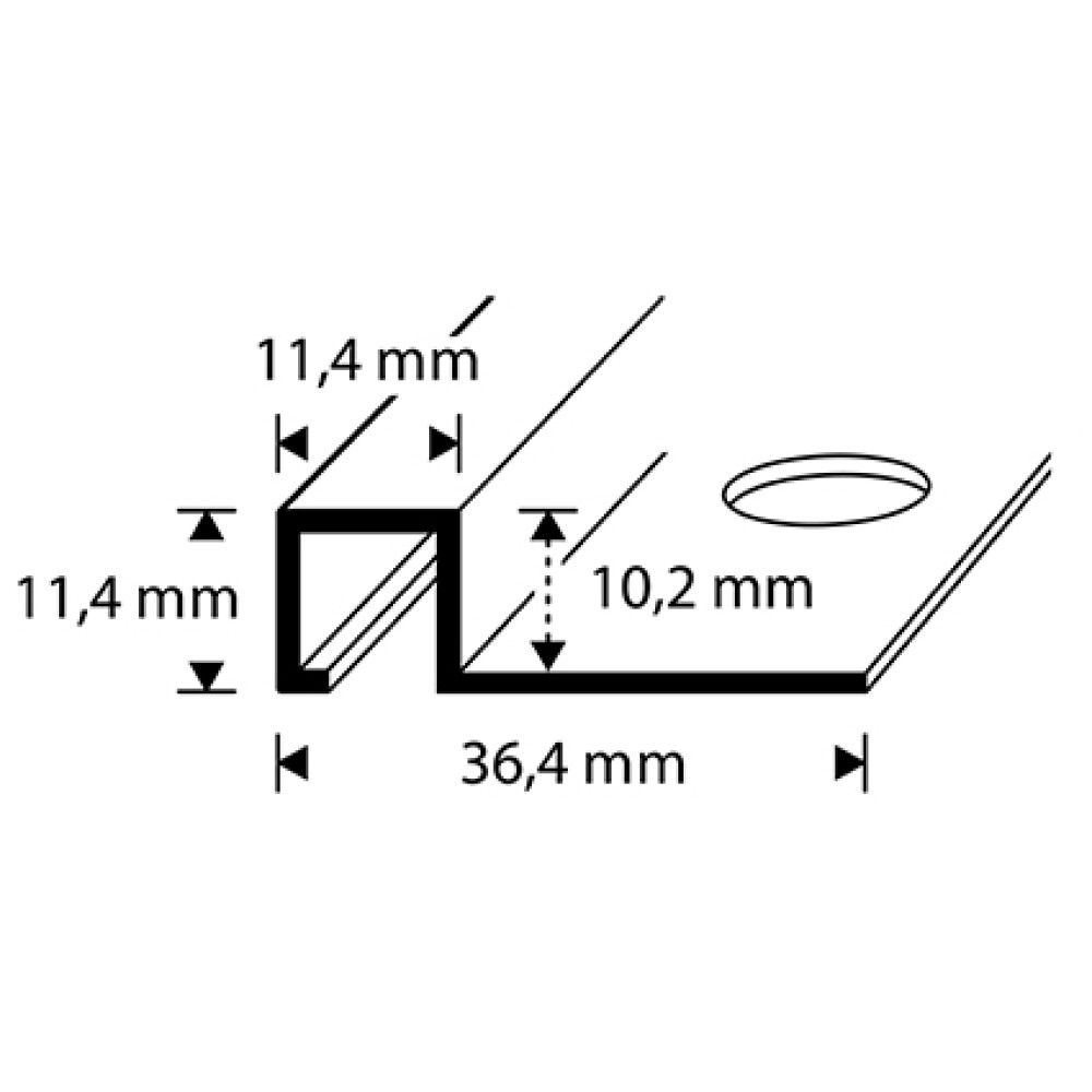 Plaadiliist Dione hõbedane matt 10 x 2500 mm
