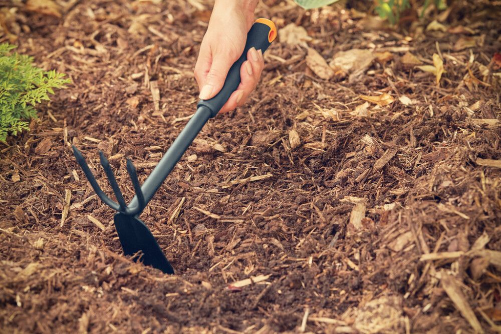 Kahepoolne kõblas Ergo