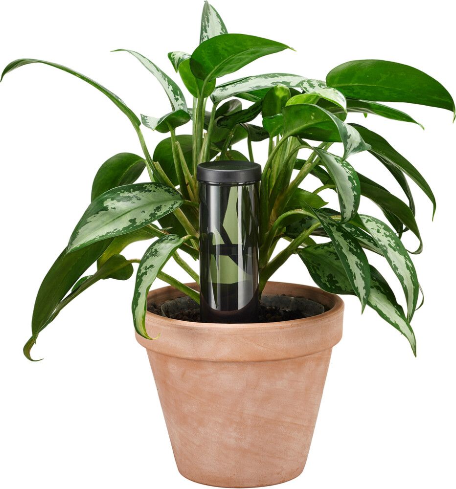 Kastaja lillepotile Fiskars 3,5 d