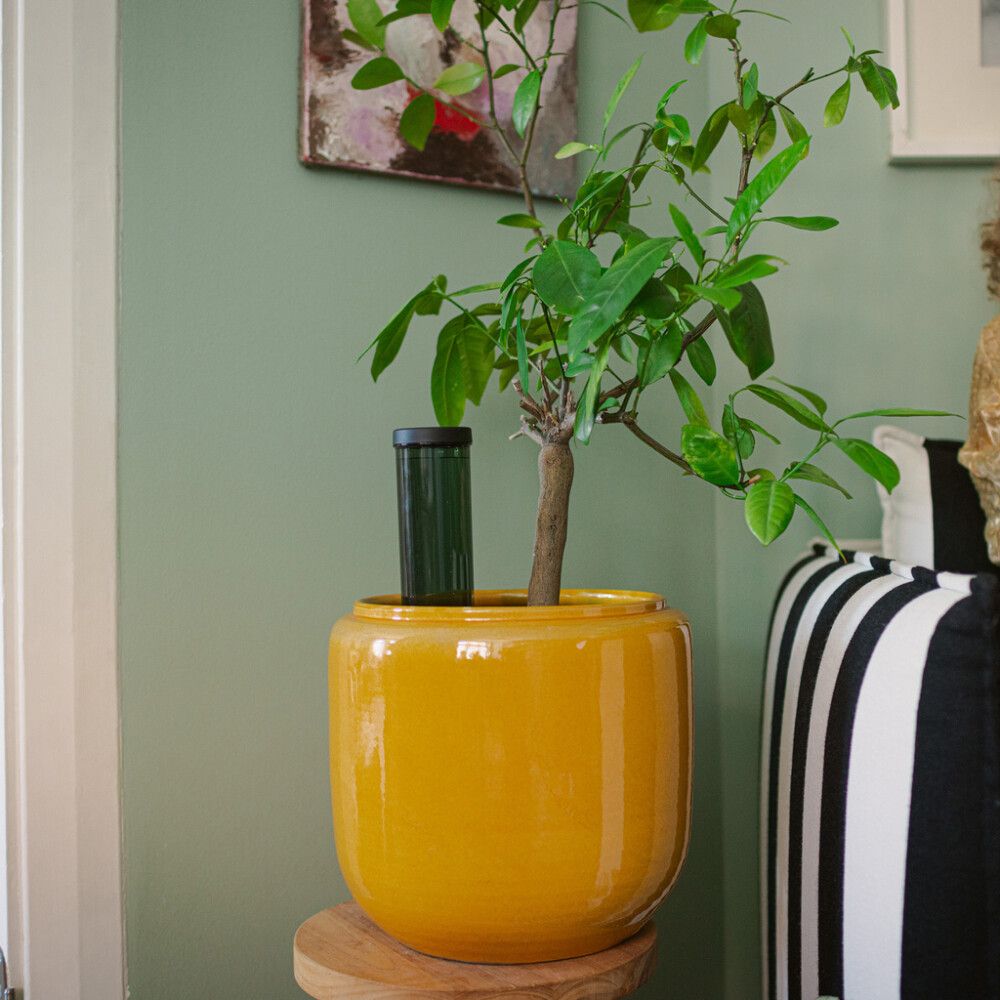 Kastaja lillepotile Fiskars 3,5 d