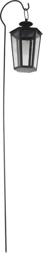 Haualatern Grace 118 cm, must