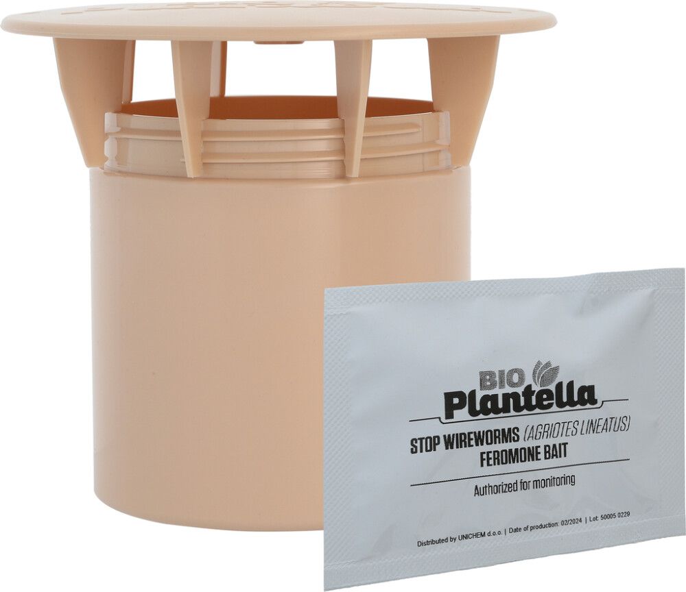 Traatusside püünis feromooniga 1 tk