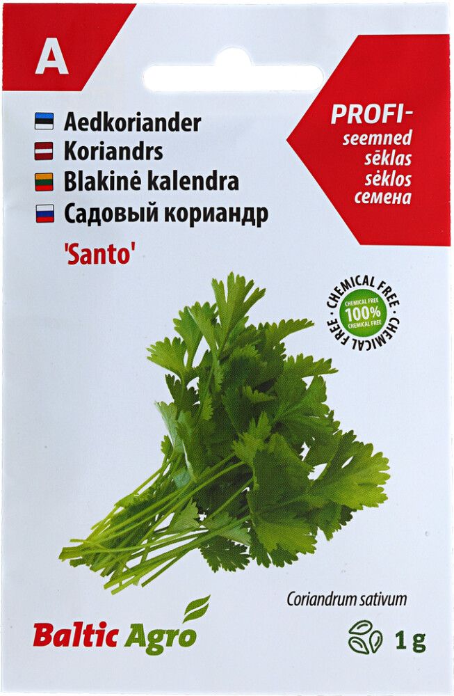 Koriander Baltic Agro ‘Santo’