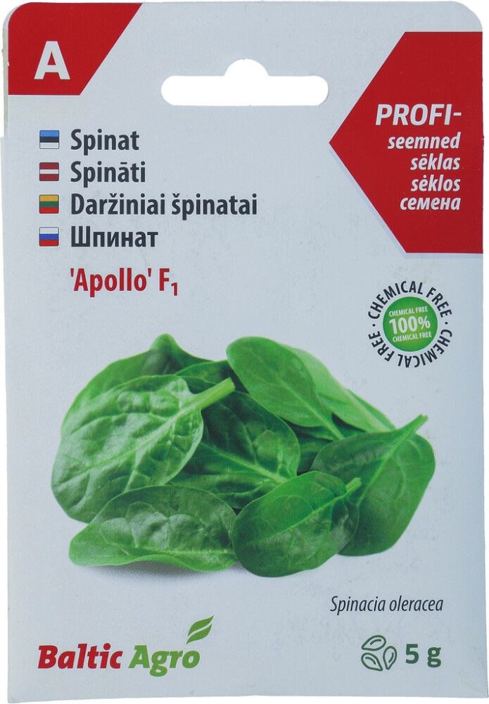 Spinat Baltic Agro Apollo F1