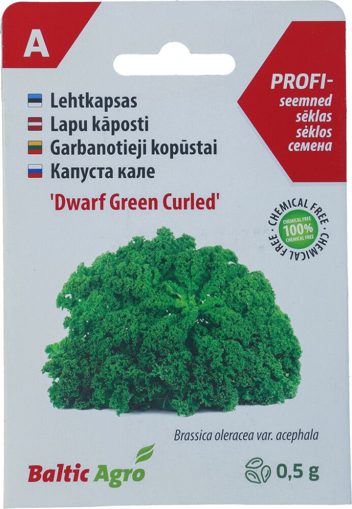 Lehtkapsas Baltic Agro Dwarf Green Curled