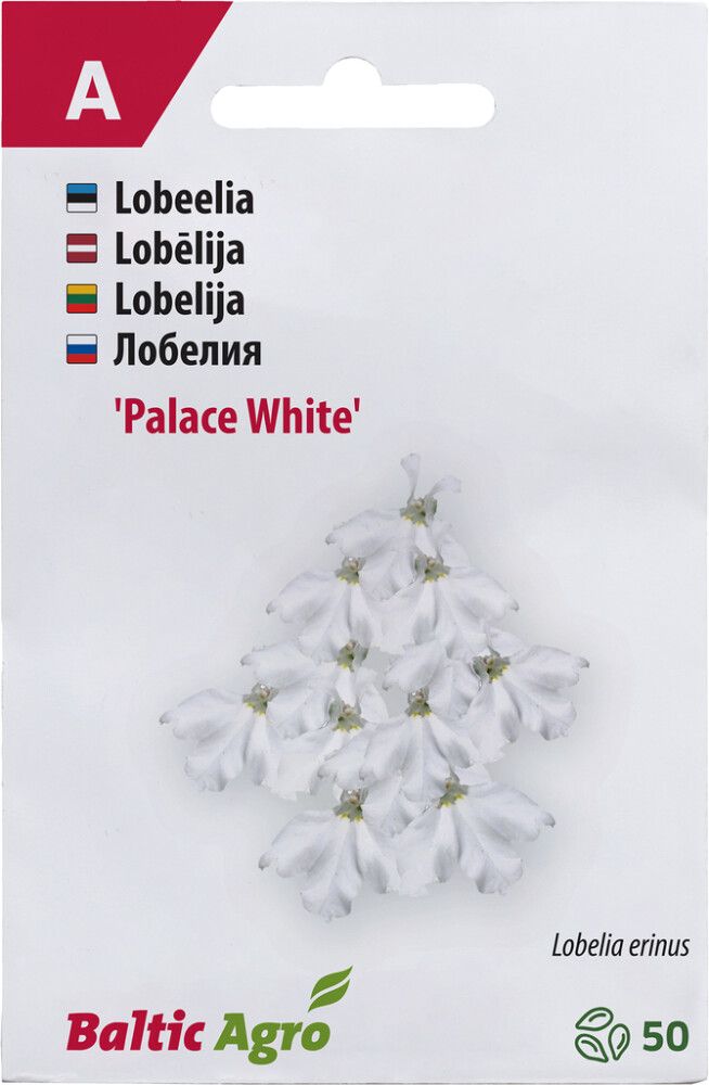 Lobeelia Baltic Agro White Palace