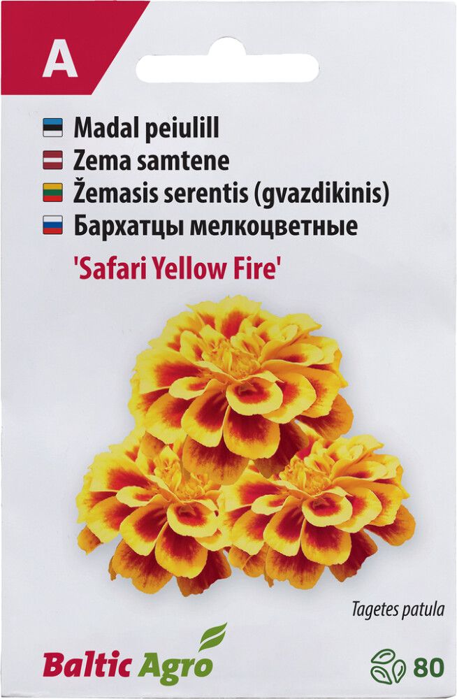 Peiulill Baltic Agro ‘Safari Yellow Fire’