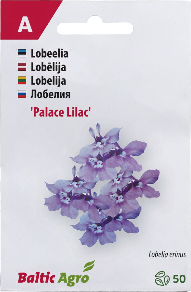 Lobeelia Baltic Agro ‘Lilac Palace’