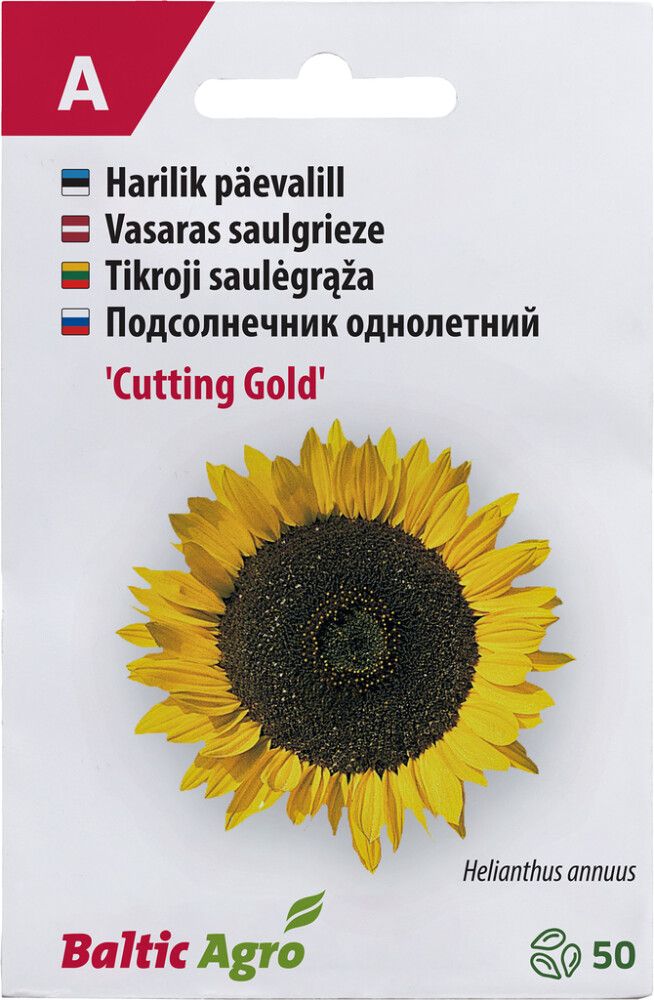 Päevalill Baltic Agro ‘Cutting Gold’