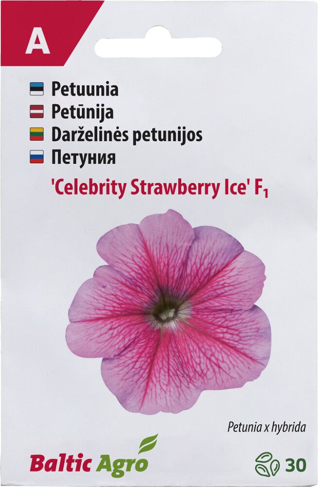 Petuunia Baltic Agro ‘Celebrity Strawberry Ice’