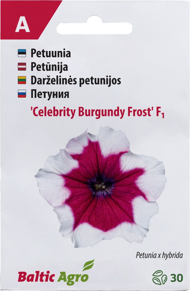 Petuunia Baltic Agro ‘Celebrity Burgundy Frost’