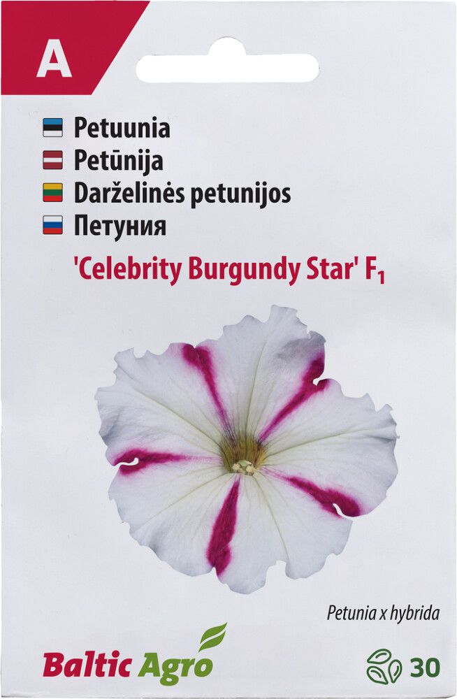Petuunia Baltic Agro ‘Celebrity Burgundy Star’