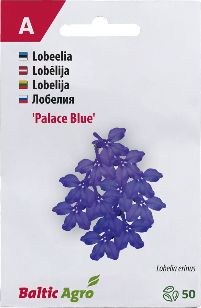 Lobeelia Baltic Agro ‘Blue Palace’
