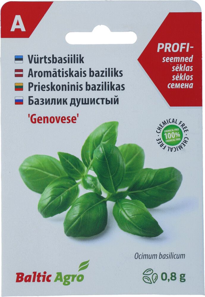 Basiilik Baltic Agro ‘Genovese’