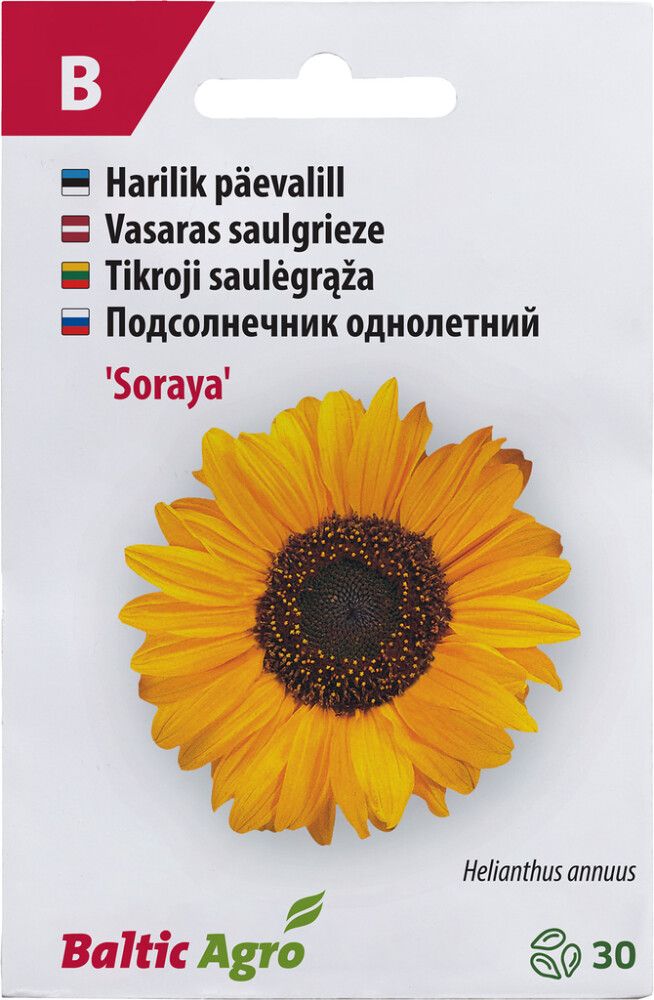 Päevalill Baltic Agro ‘Soraya’