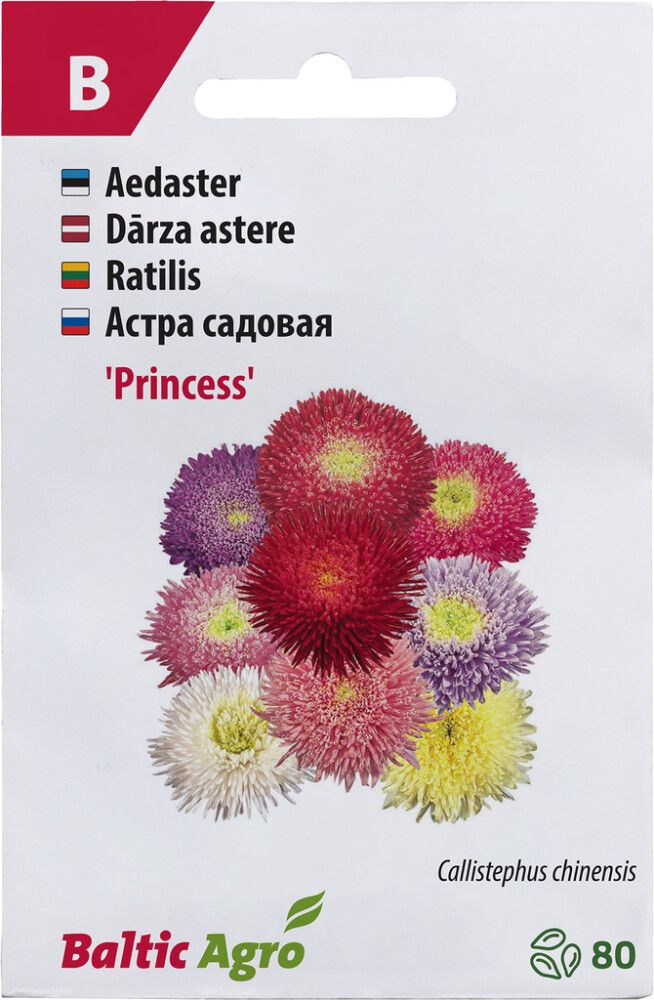 Aster Baltic Agro ‘Princess’