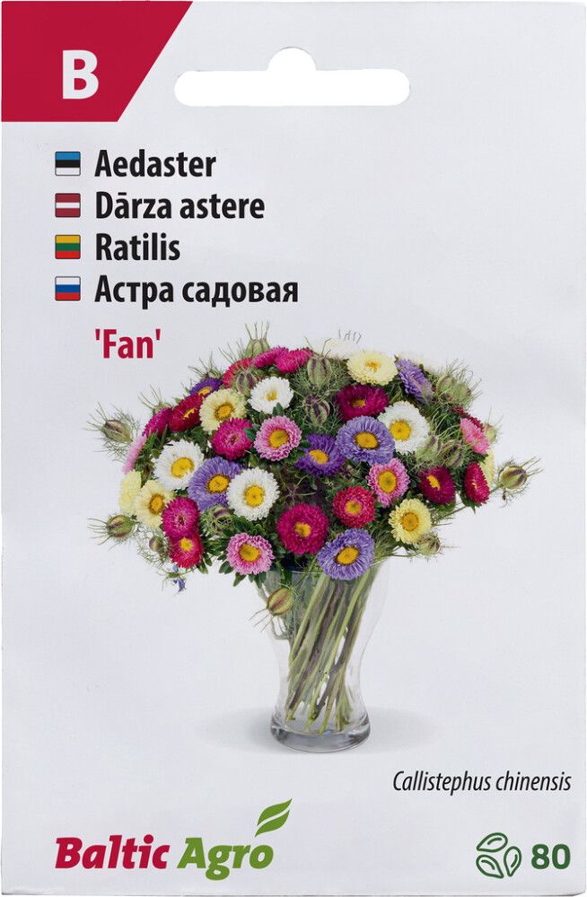 Aster Baltic Agro ‘Fan’