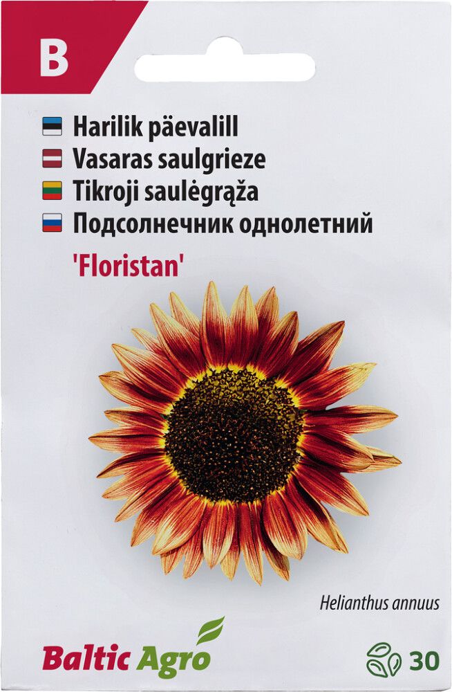 Päevalill Baltic Agro ‘Floristan’