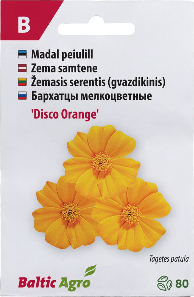 Peiulill Baltic Agro ‘Disco Orange’