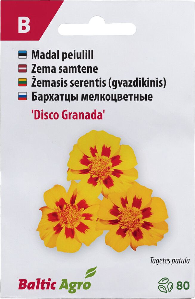 Peiulill Baltic Agro ‘Disco Granada’