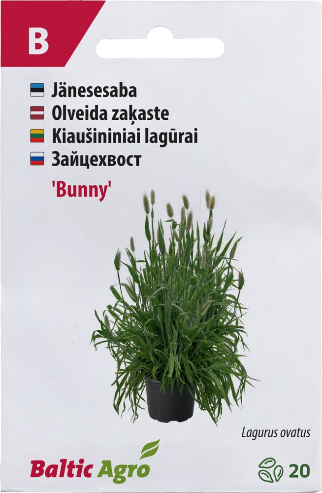 Jänesesaba Baltic Agro ‘Bunny’